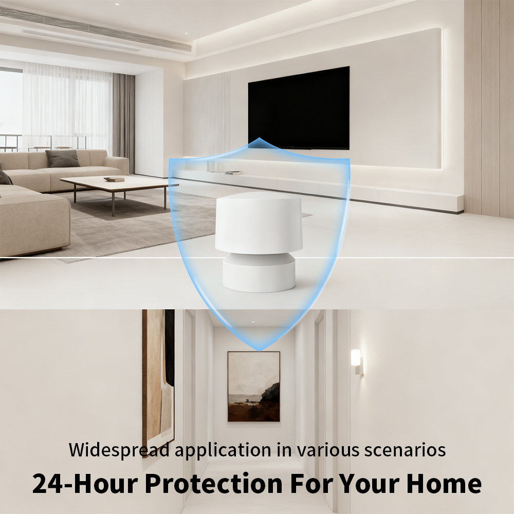 Zigbee or WiFi Smart Human Pre - Smart Home Networking recension och pris