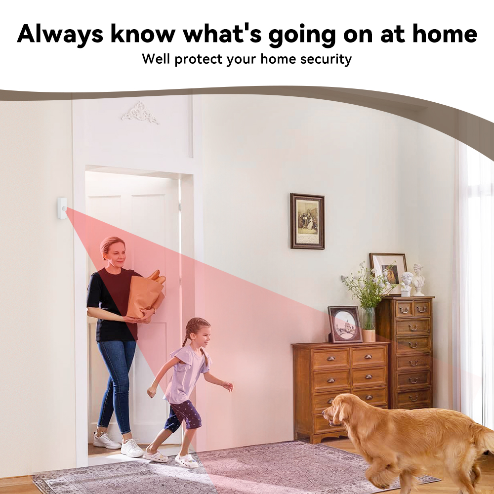 Tuya Smart PIR Motion Sensor S - Smart Home Networking recension och pris