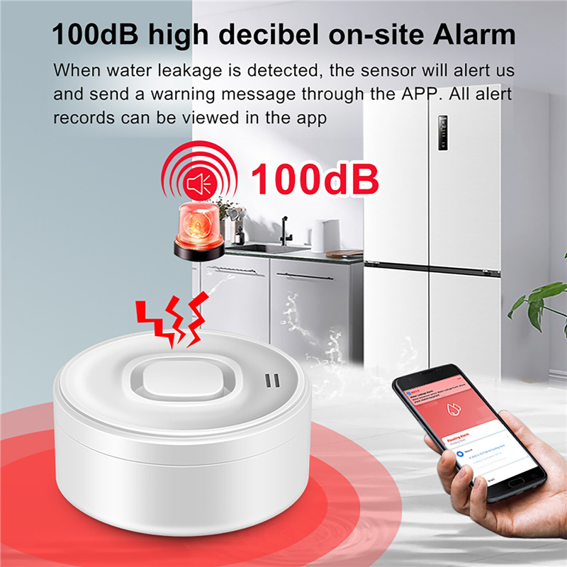 Smart WIFI Water Leak Detector - Wifi Water Leak Detector recension och pris
