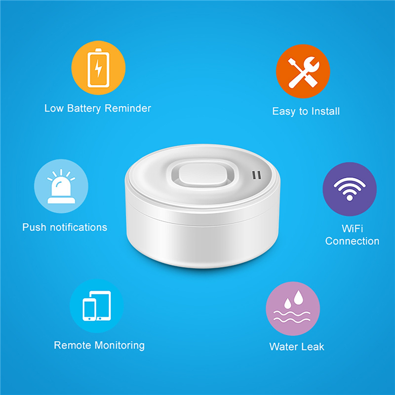 Smart WIFI Water Leak Detector - Wifi Water Leak Detector recension och pris