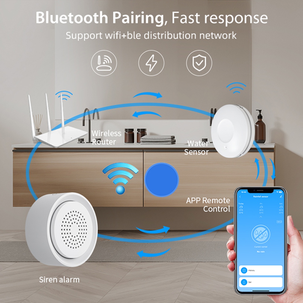 BTLIFE-Flood Detector With Sir - Wifi Water Leak Detector recension och pris